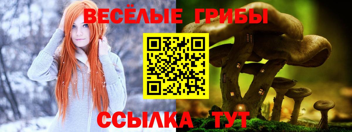 Добрянка  Псилоцибиновые грибы прущие грибы  Вход с VPN  Галлюциногенные грибы MAGIC MUSHROOMS 